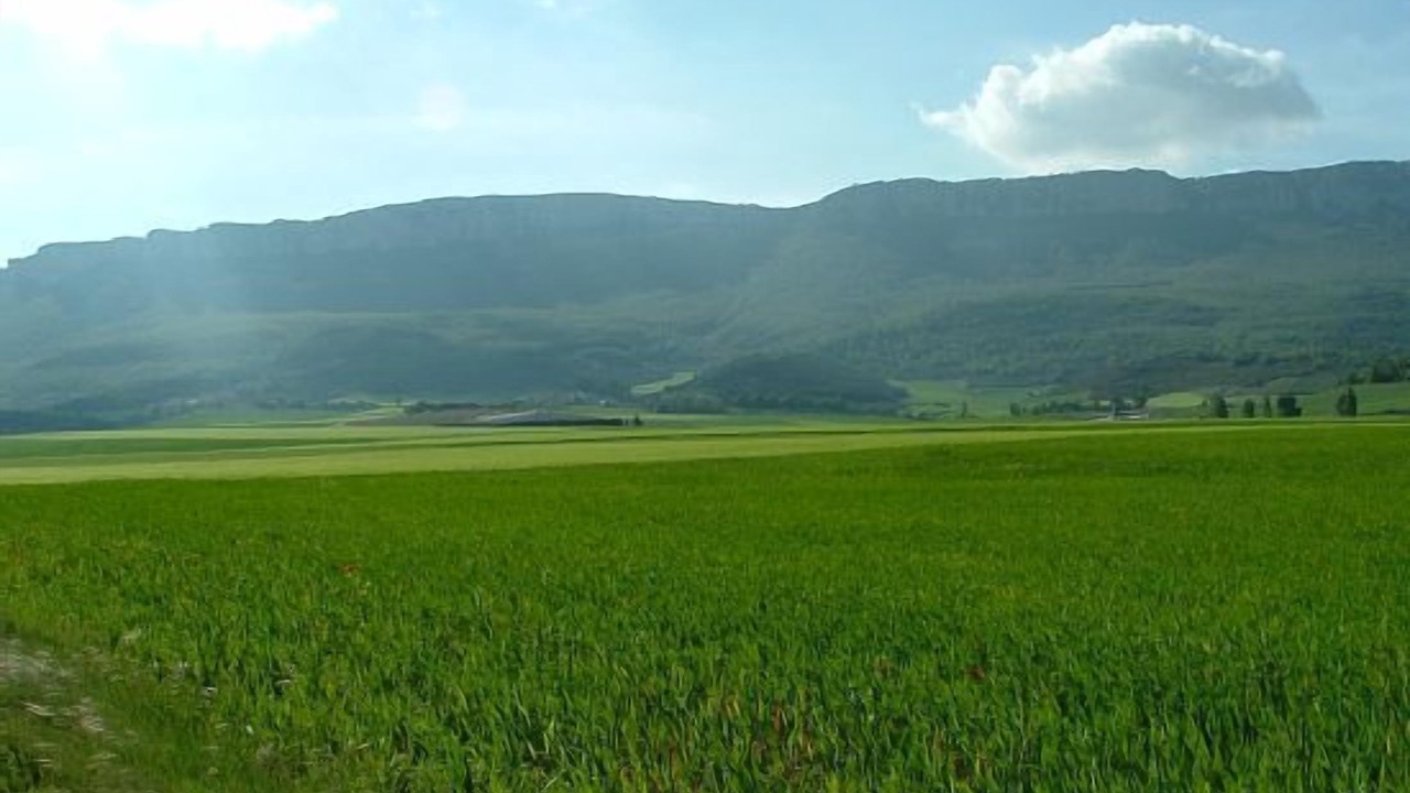 Photo of Others in Amillano