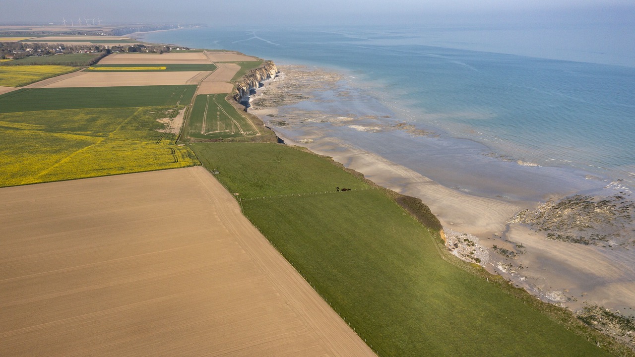 Photo of Others in Saint-Aubin-sur-Mer
