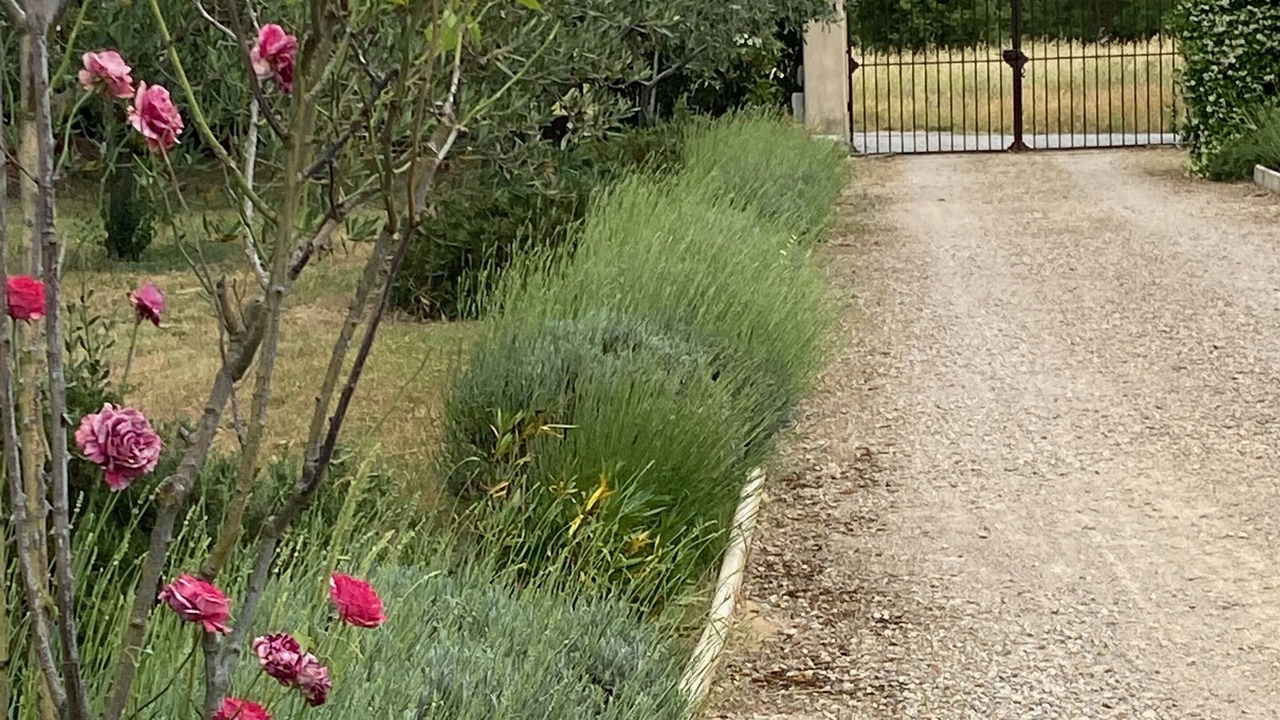 Photo of Outdoor in Pignans