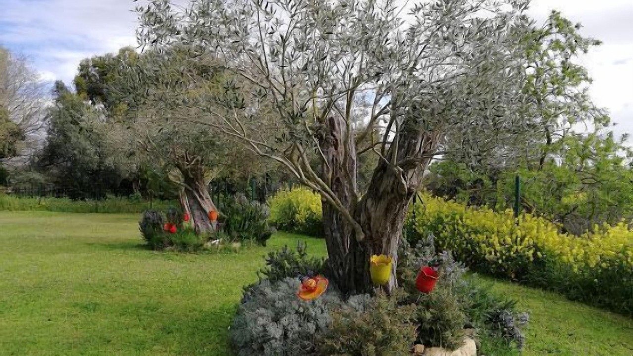 Photo of Outdoor in Fonteta