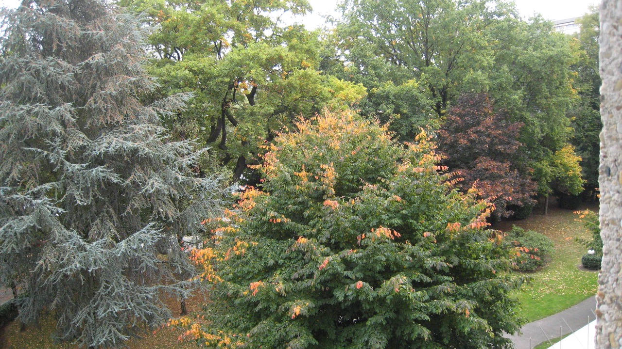 Photo of Outdoor in Tour-de-Champel