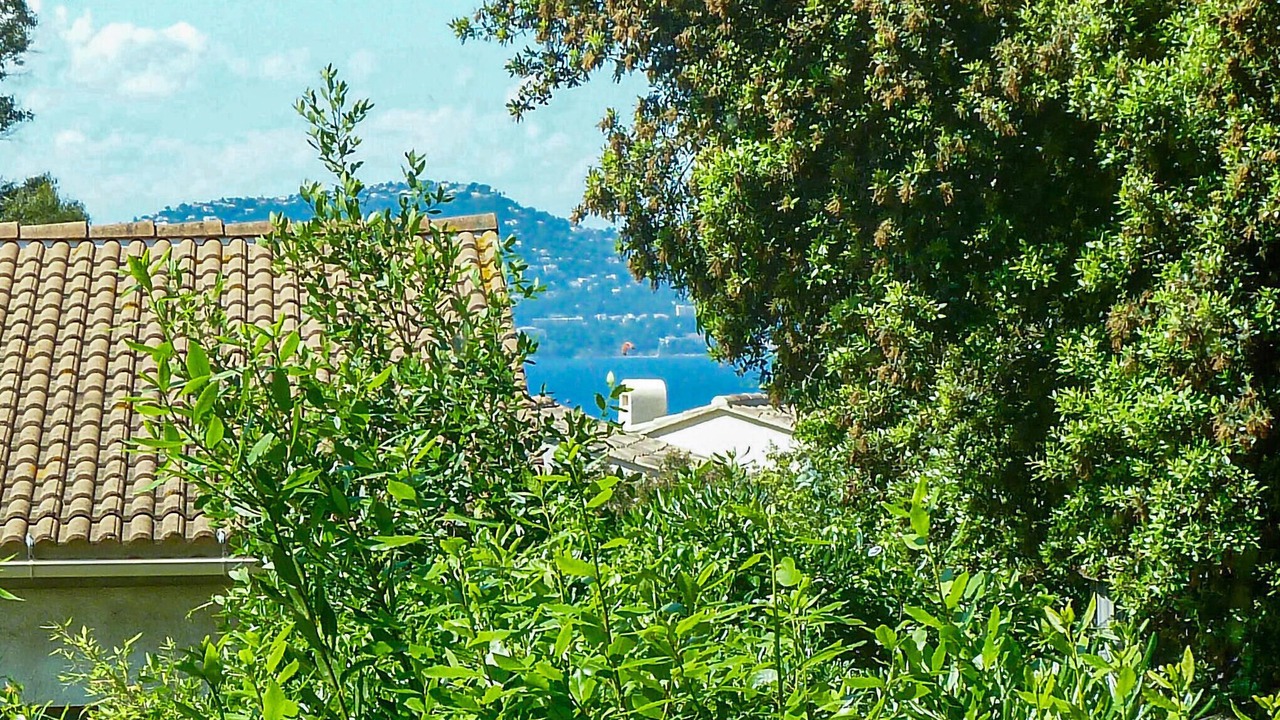 Photo of Bedroom in Giens