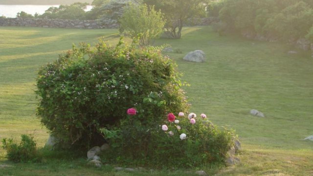 Photo of Others in Block Island