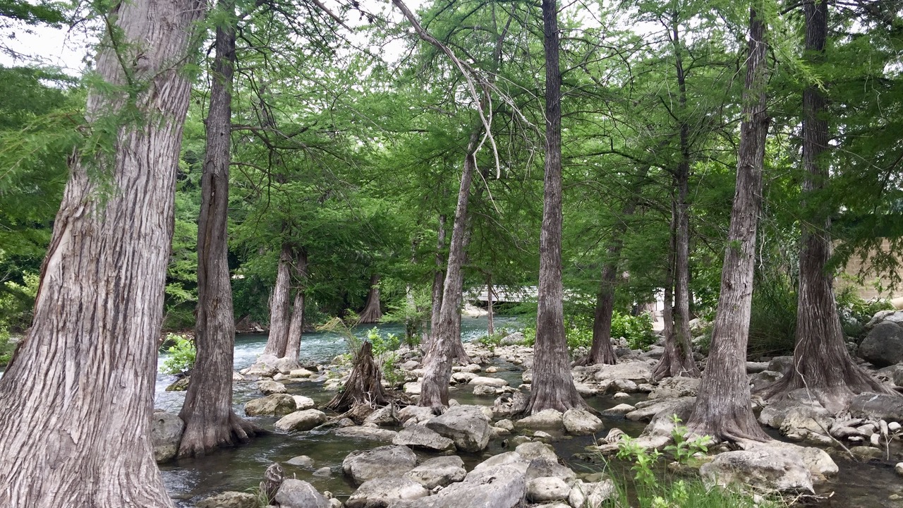 Photo of Others in Gruene