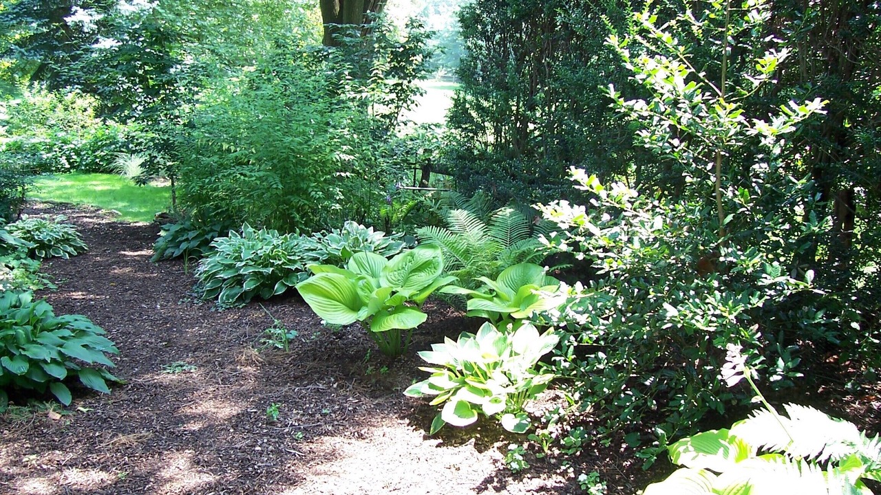 Photo of Outdoor in Berwyn