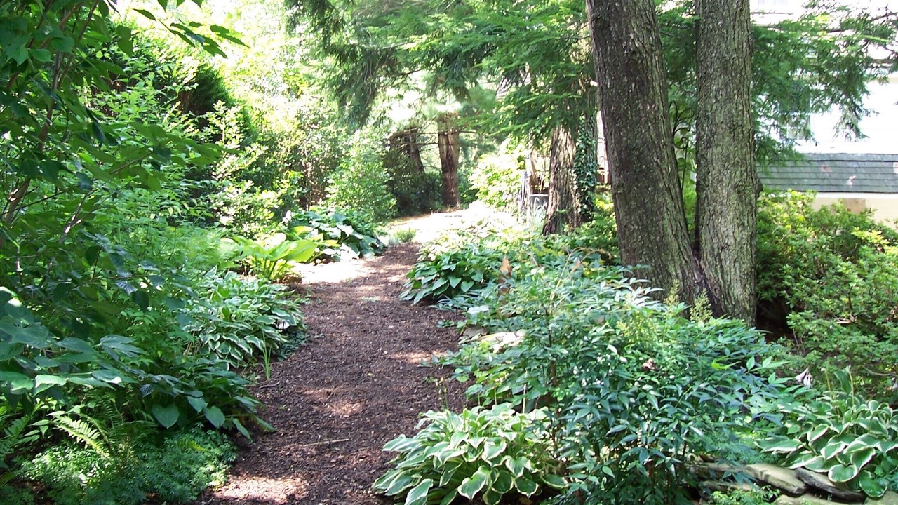 Photo of Outdoor in Berwyn