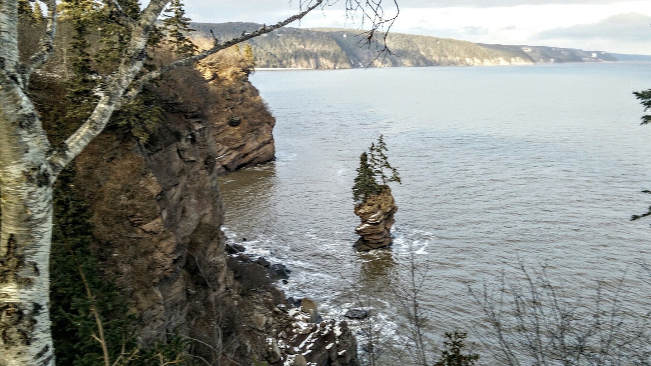 Photo of Others in Bay View
