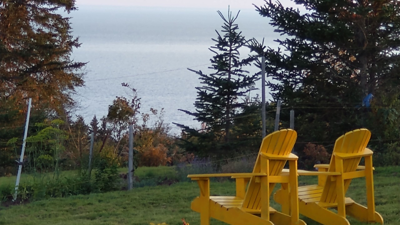 Photo of Outdoor in Bay View