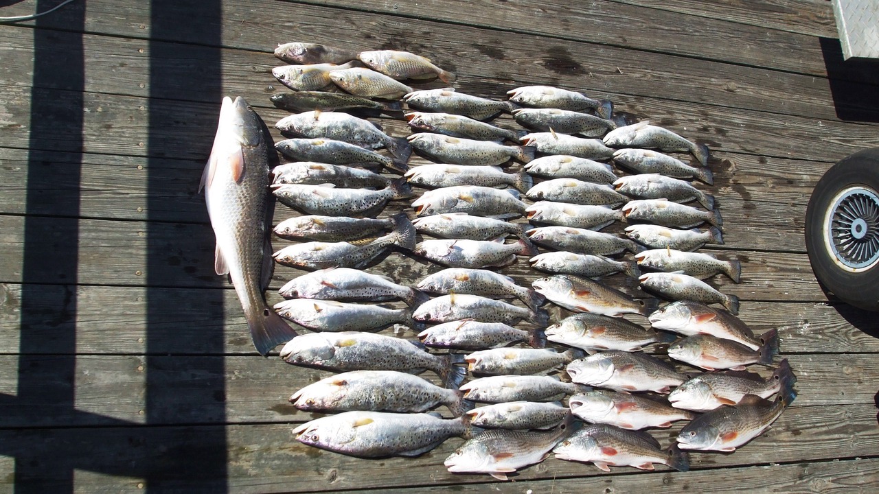 Photo of Others in Pine Harbor