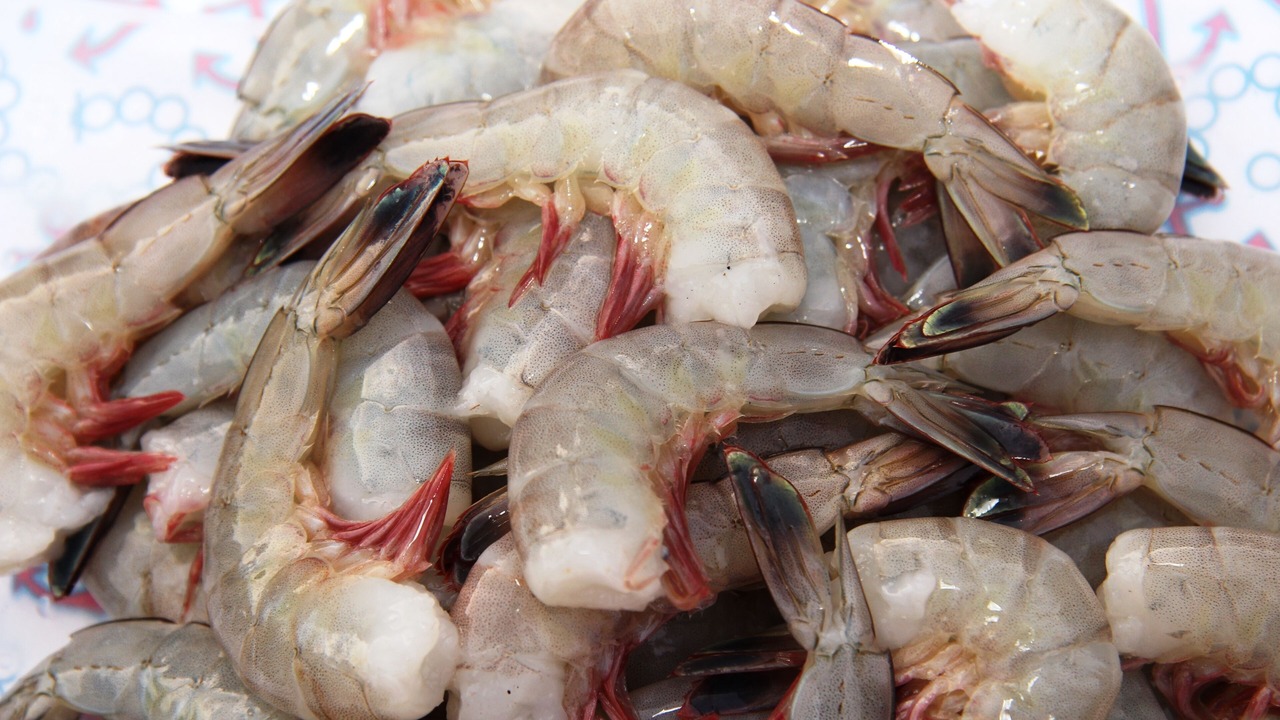 Photo of Others in Pine Harbor