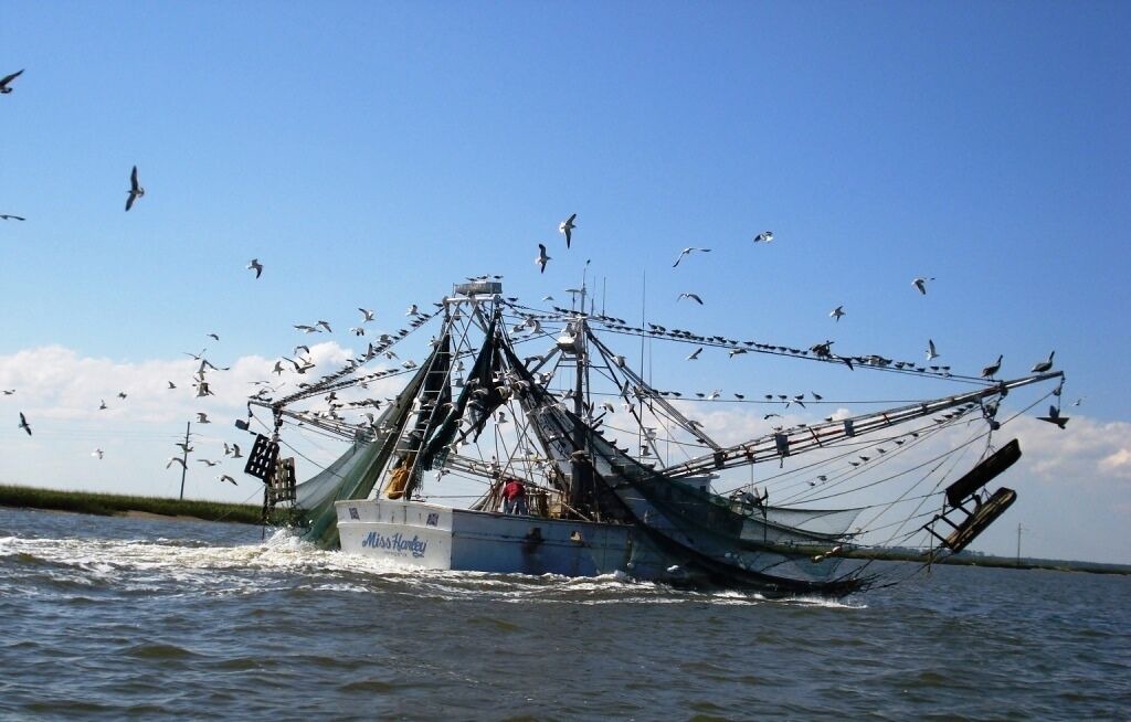 Photo of Others in Pine Harbor