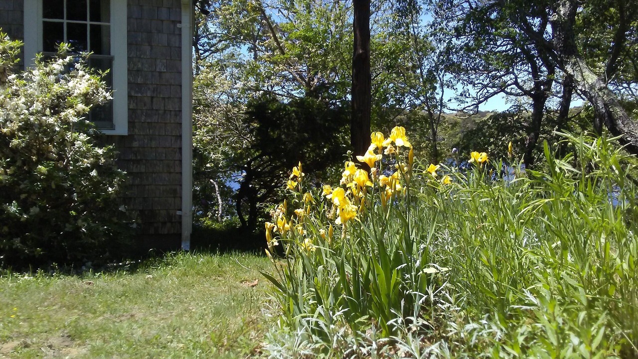 Photo of Outdoor in North Chatham