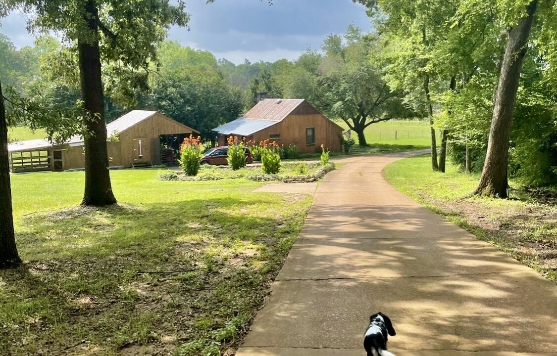 Photo of Others in Nacogdoches