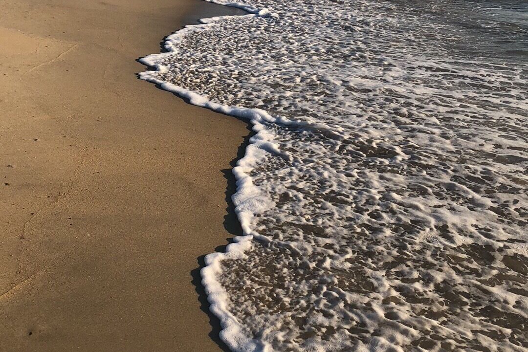 Photo of Others in Kitty Hawk