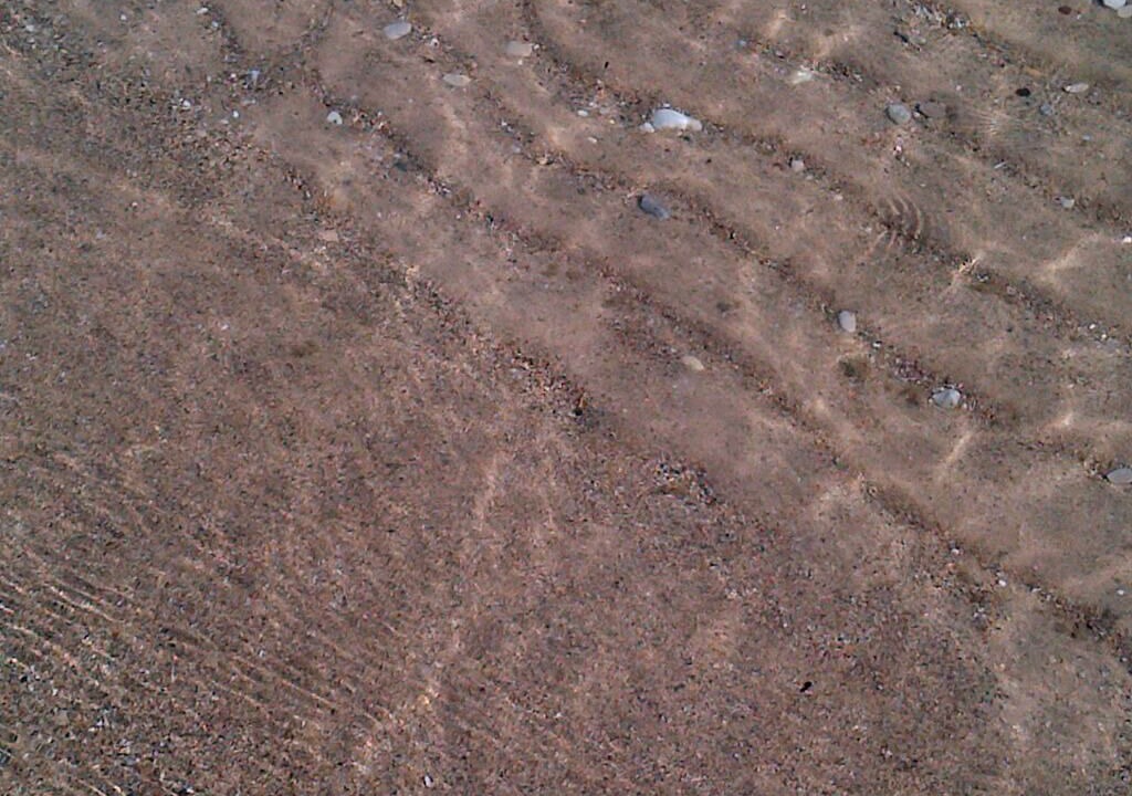 Photo of Others in Lake Township