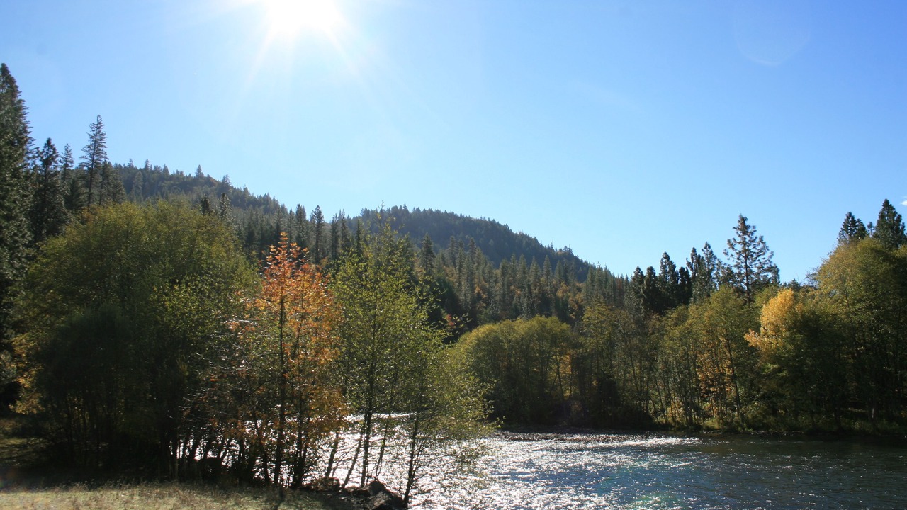 Photo of Others in Shady Cove