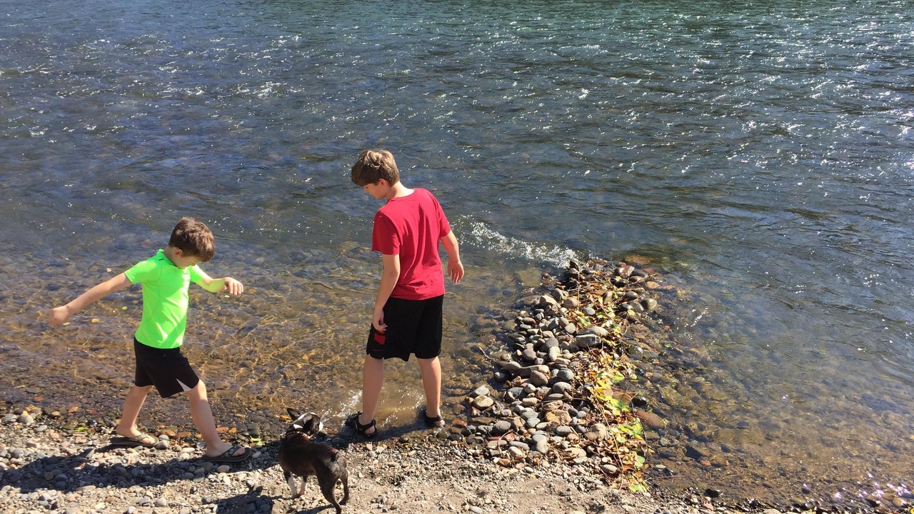Photo of Others in Shady Cove