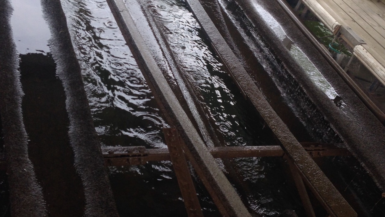 Photo of Others in Osage Beach