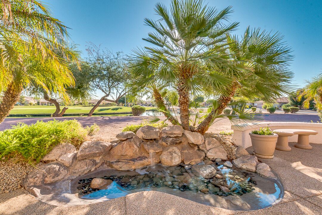 Photo of Outdoor in Palm Valley