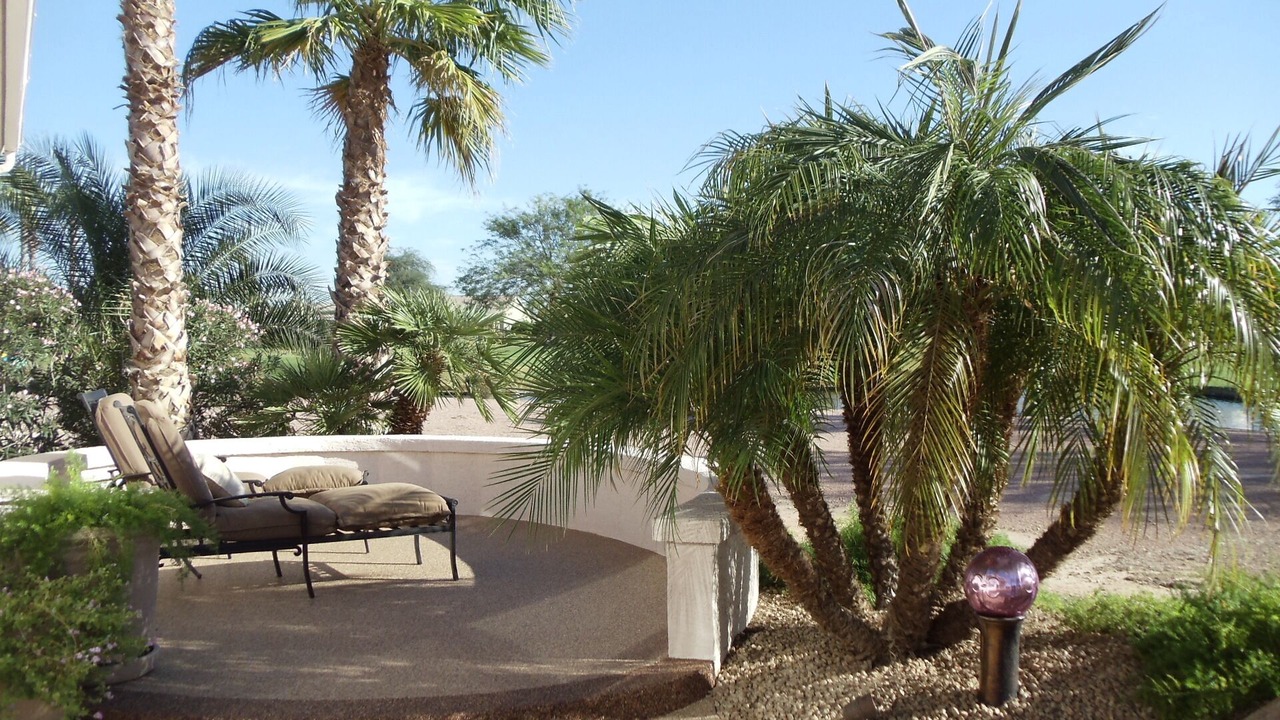 Photo of Outdoor in Palm Valley