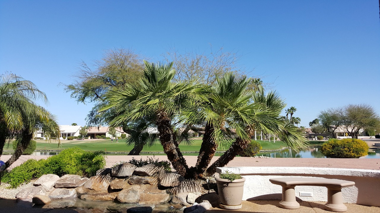 Photo of Others in Palm Valley