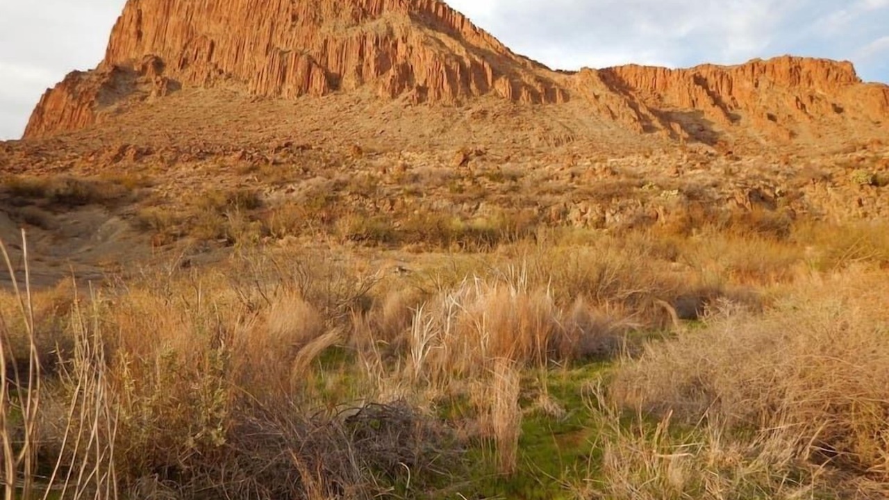 Photo of Others in Terlingua