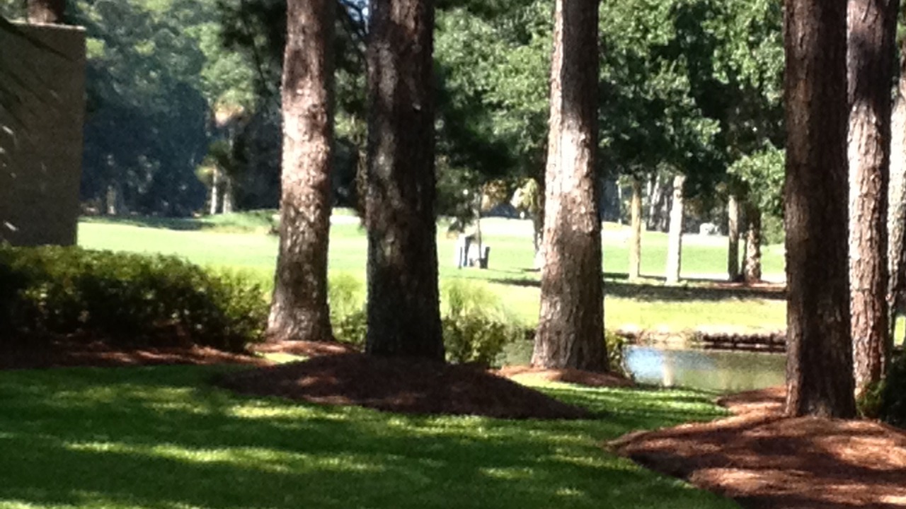 Photo of Outdoor in Sea Pines