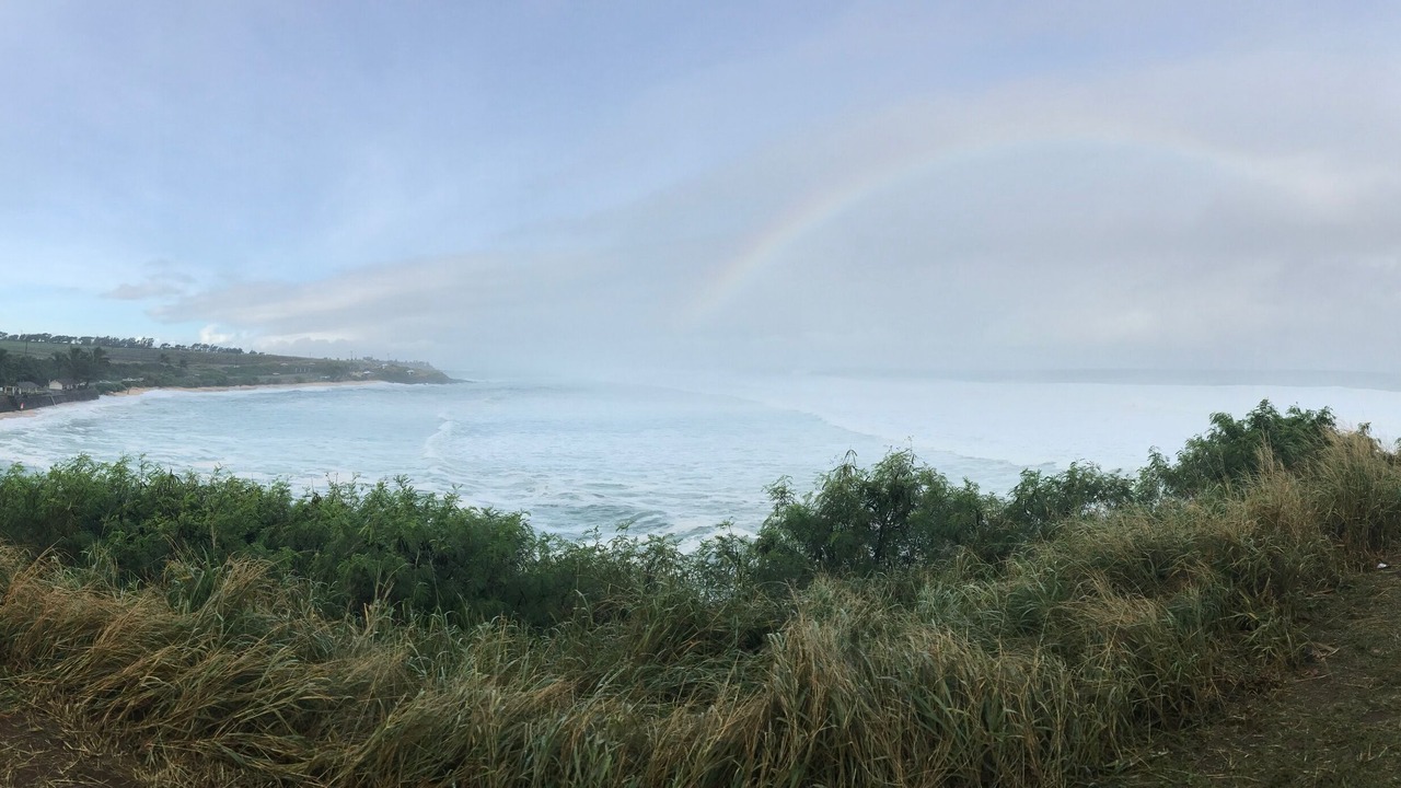 Photo of Others in Paia