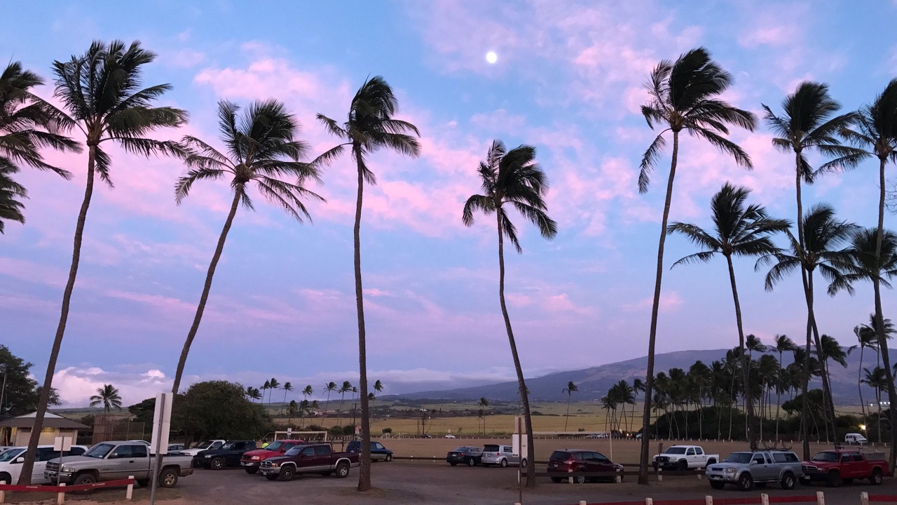 Photo of Others in Paia