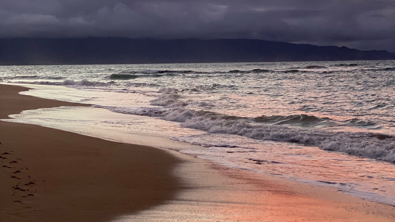 Photo of Others in Paia