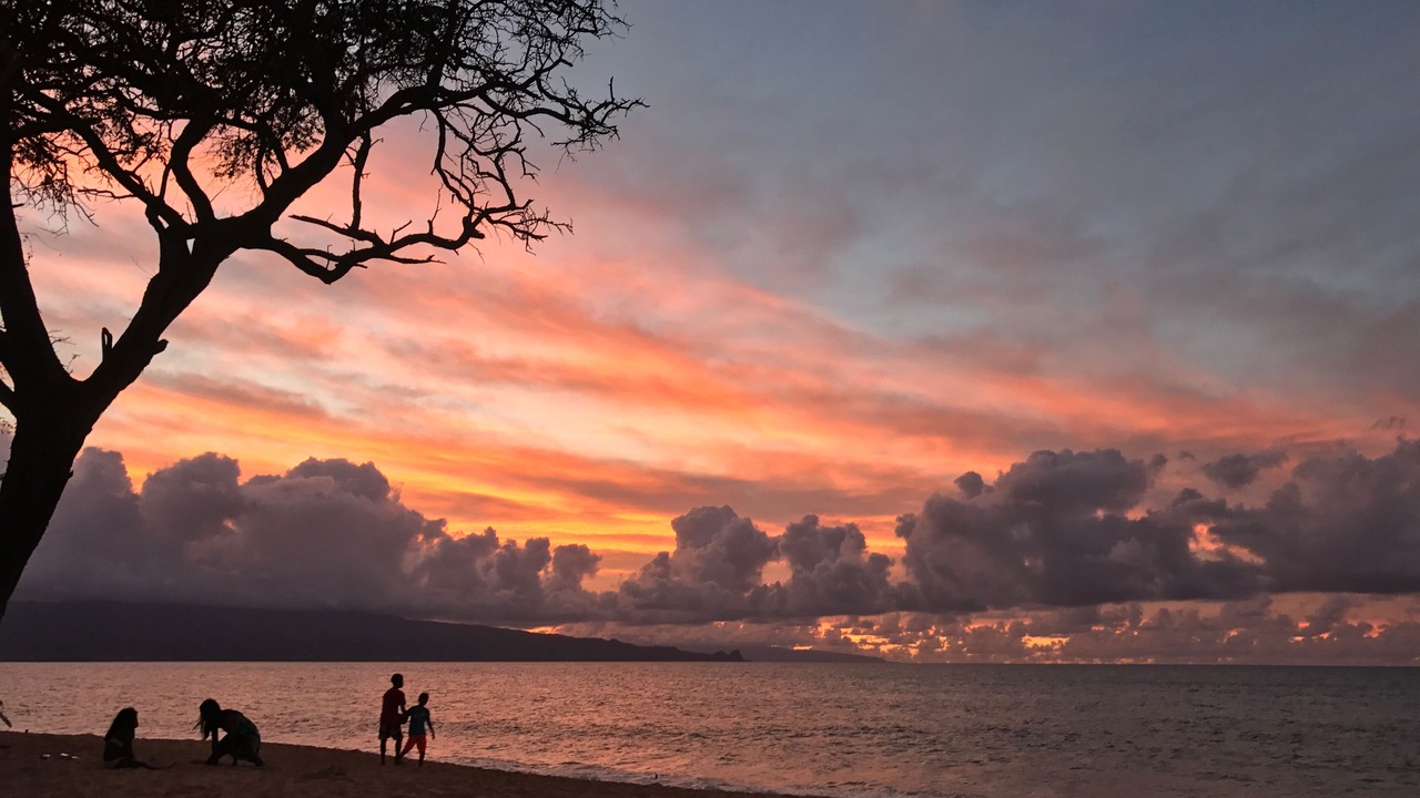 Photo of Others in Paia