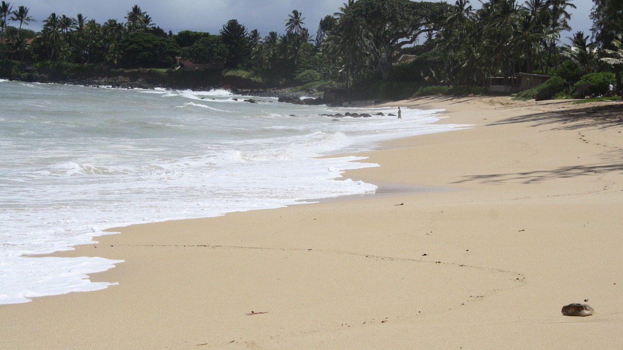 Photo of Others in Paia