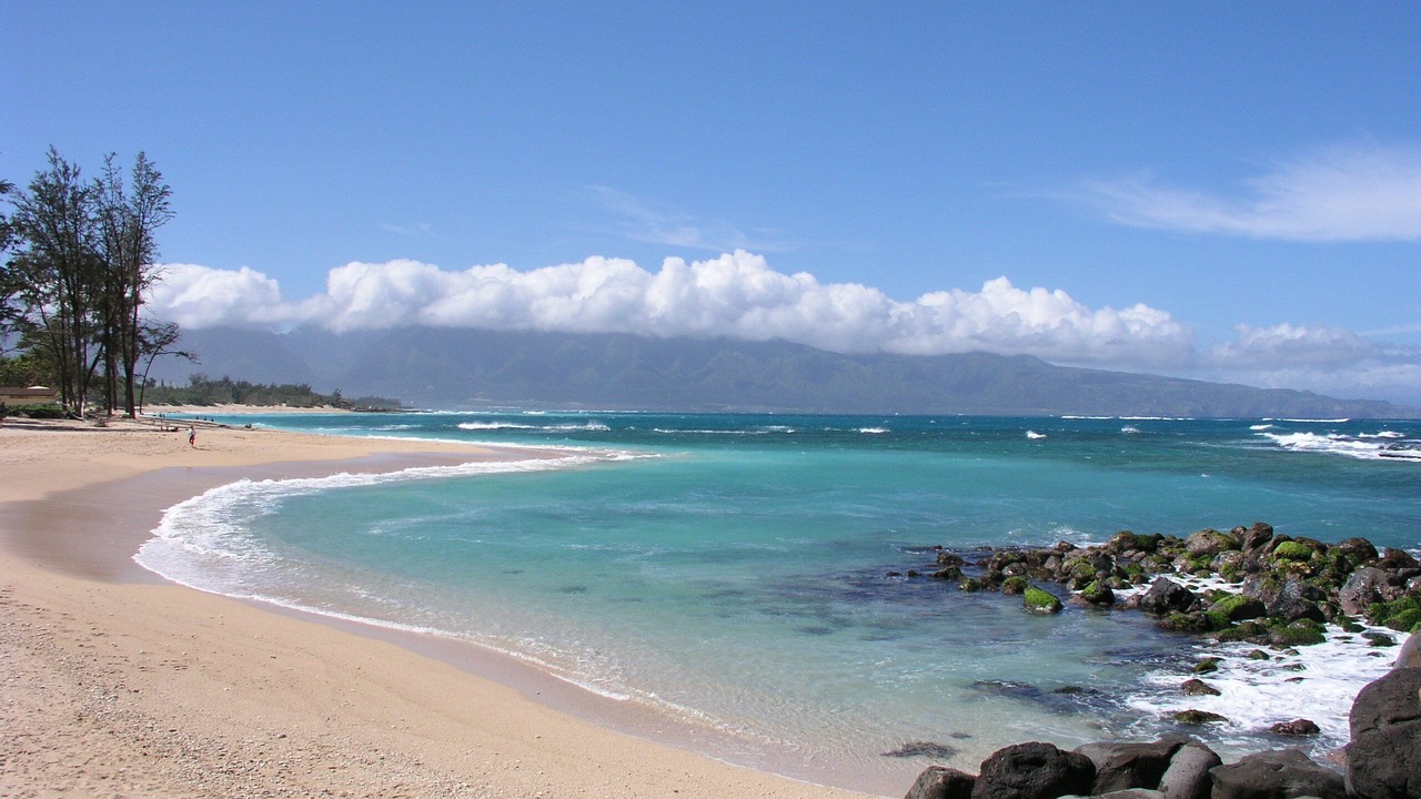 Photo of Others in Paia