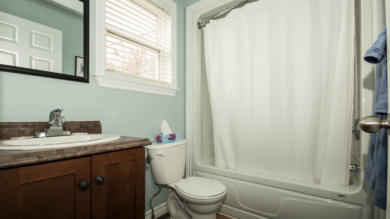 Photo of Others in Downtown St. John's