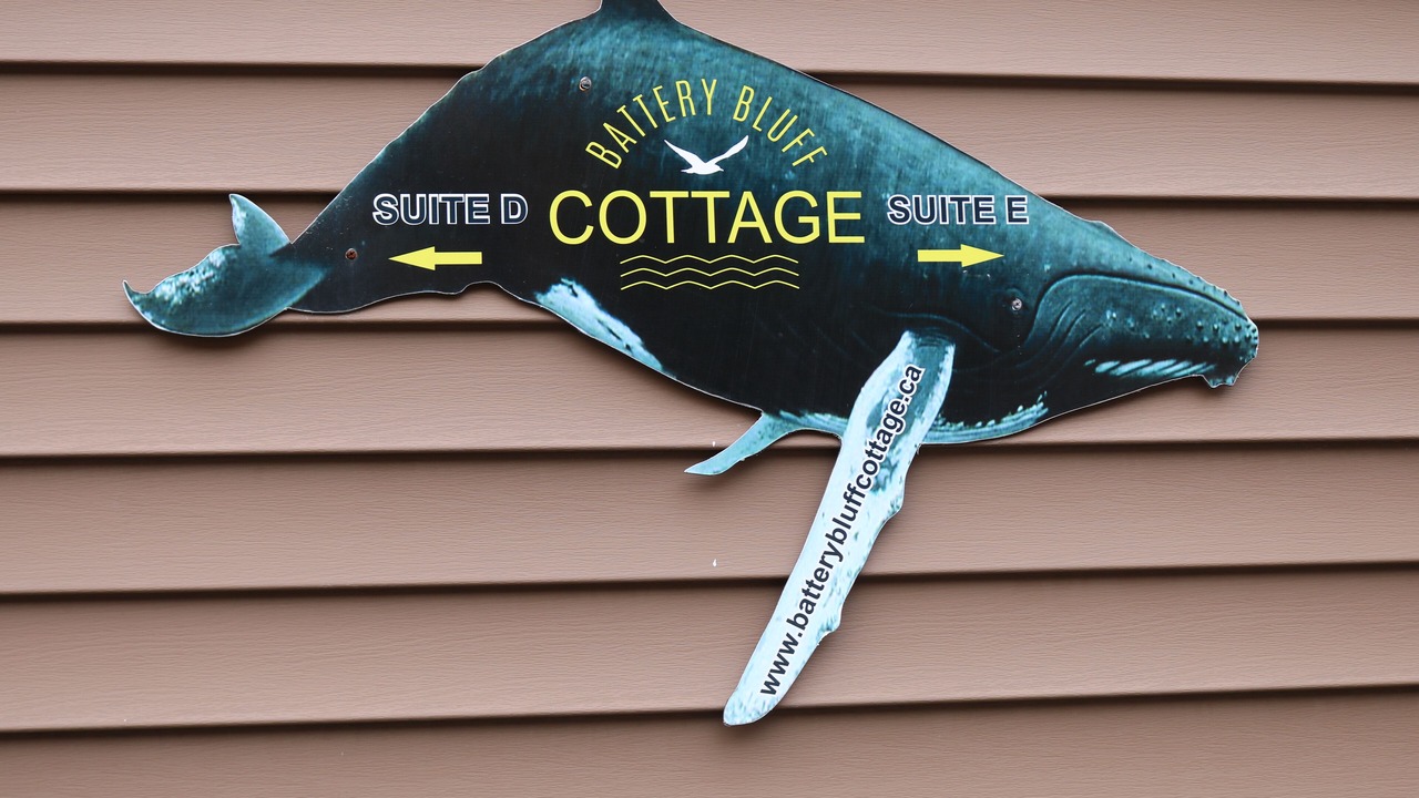 Photo of Others in Downtown St. John's