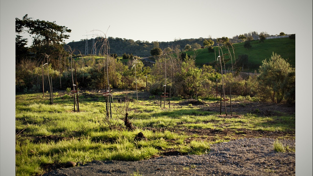 Photo of Others in Arroyo Grande
