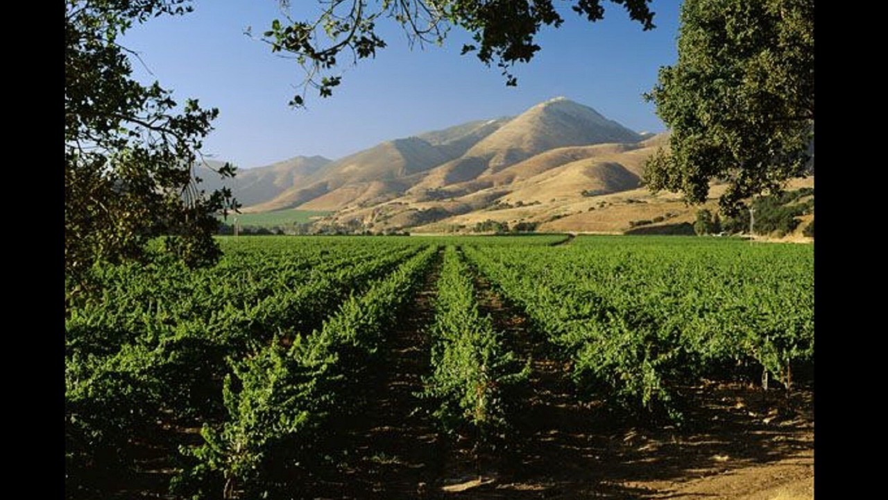 Photo of Others in Arroyo Grande
