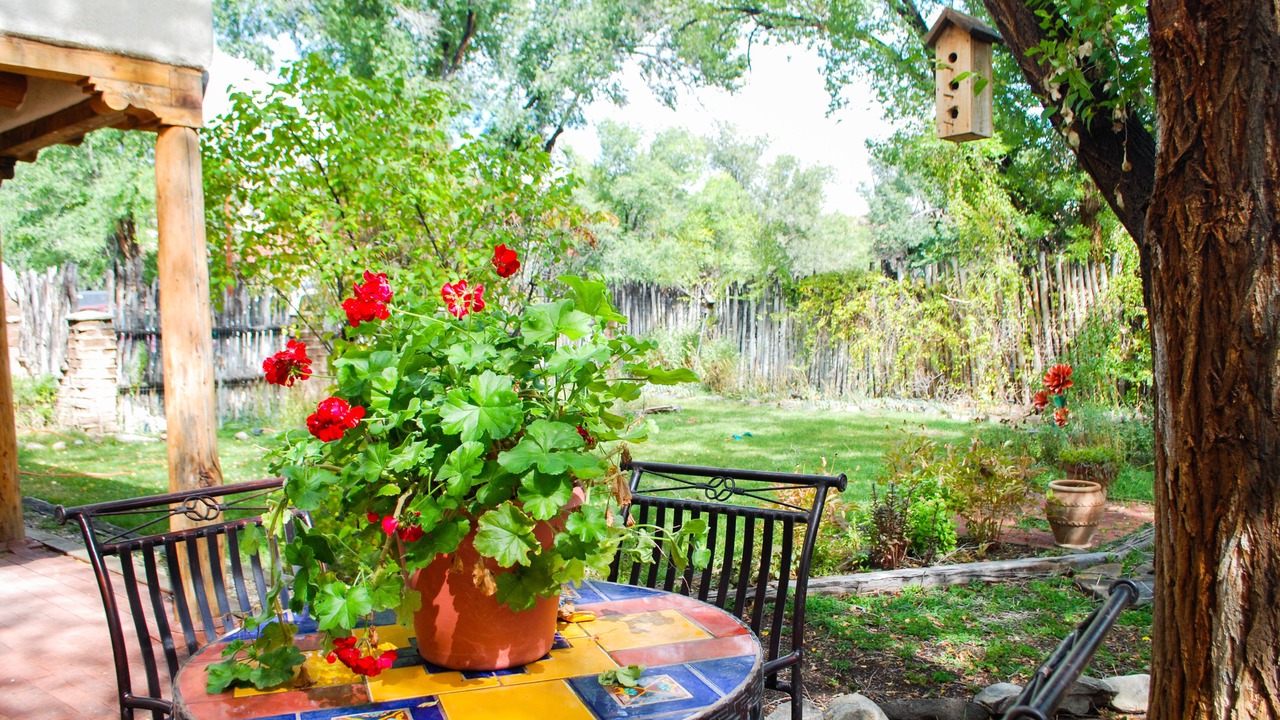 Photo of Outdoor in Taos