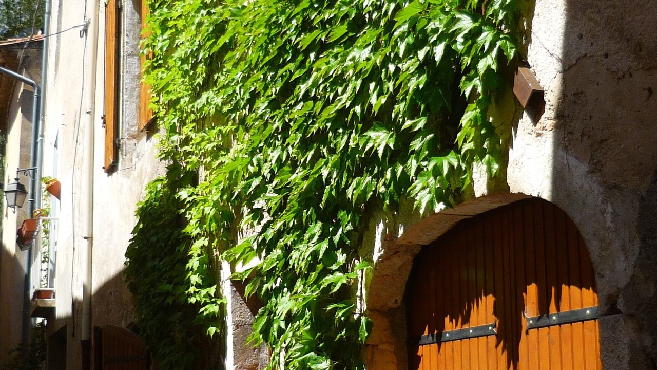 Photo of Outdoor in Saint-Jean-de-Bueges