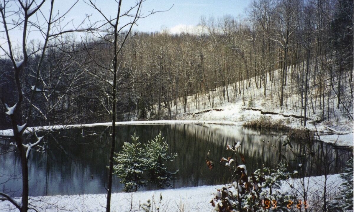 Photo of Others in Smith River