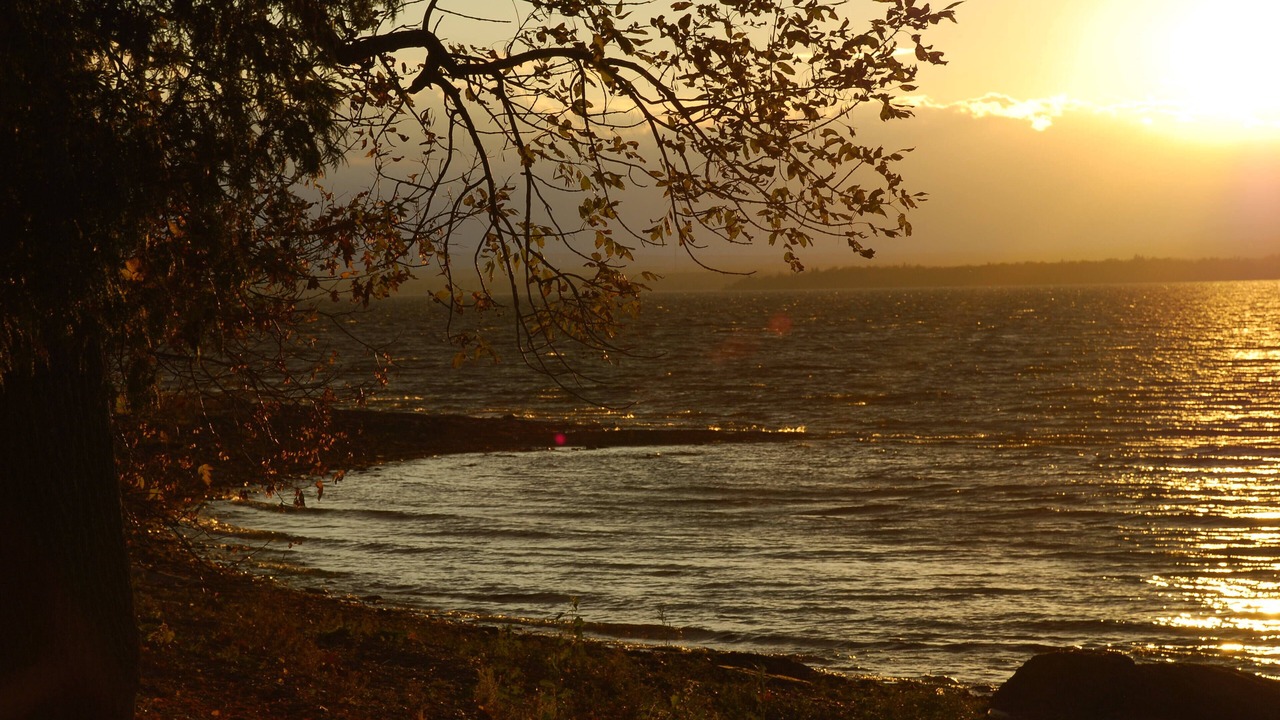 Photo of Others in North Hero