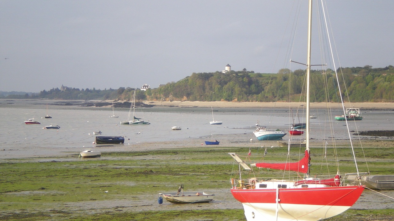 Photo of Others in Cancale