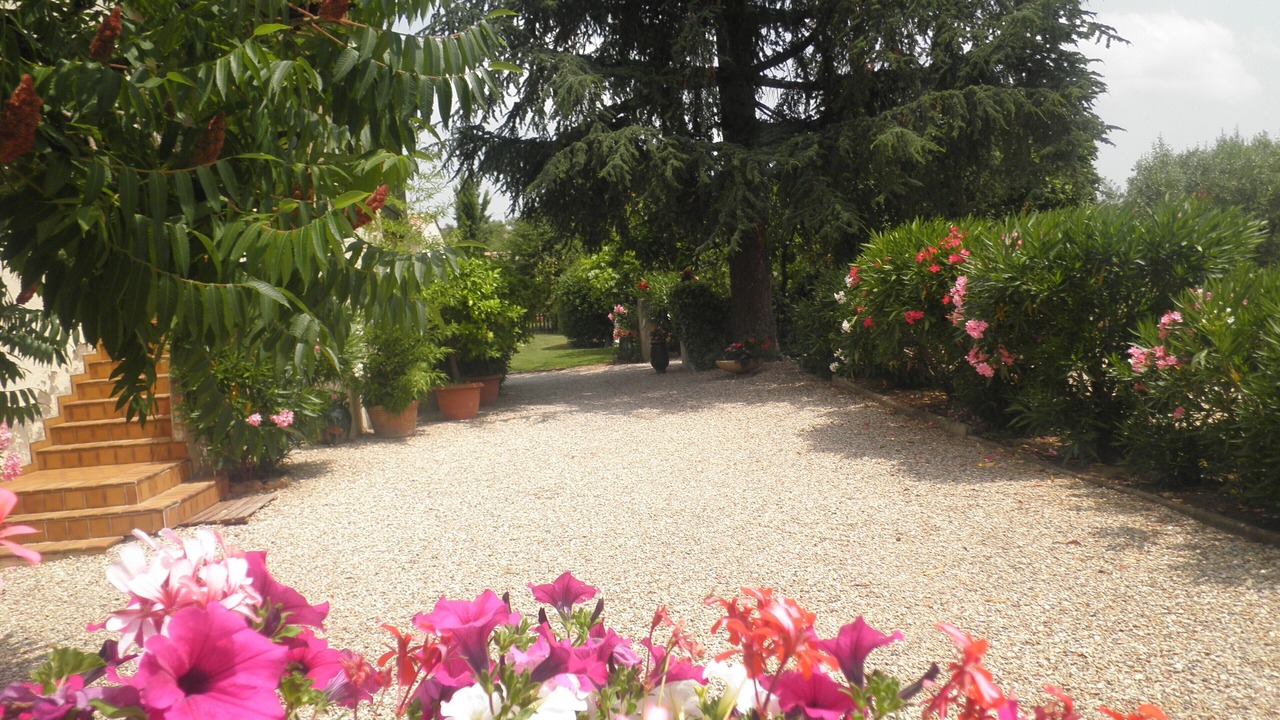 Photo of Outdoor in Les Mages