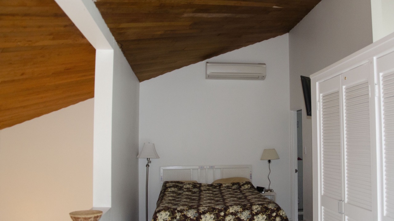 Photo of Others in West Tisbury