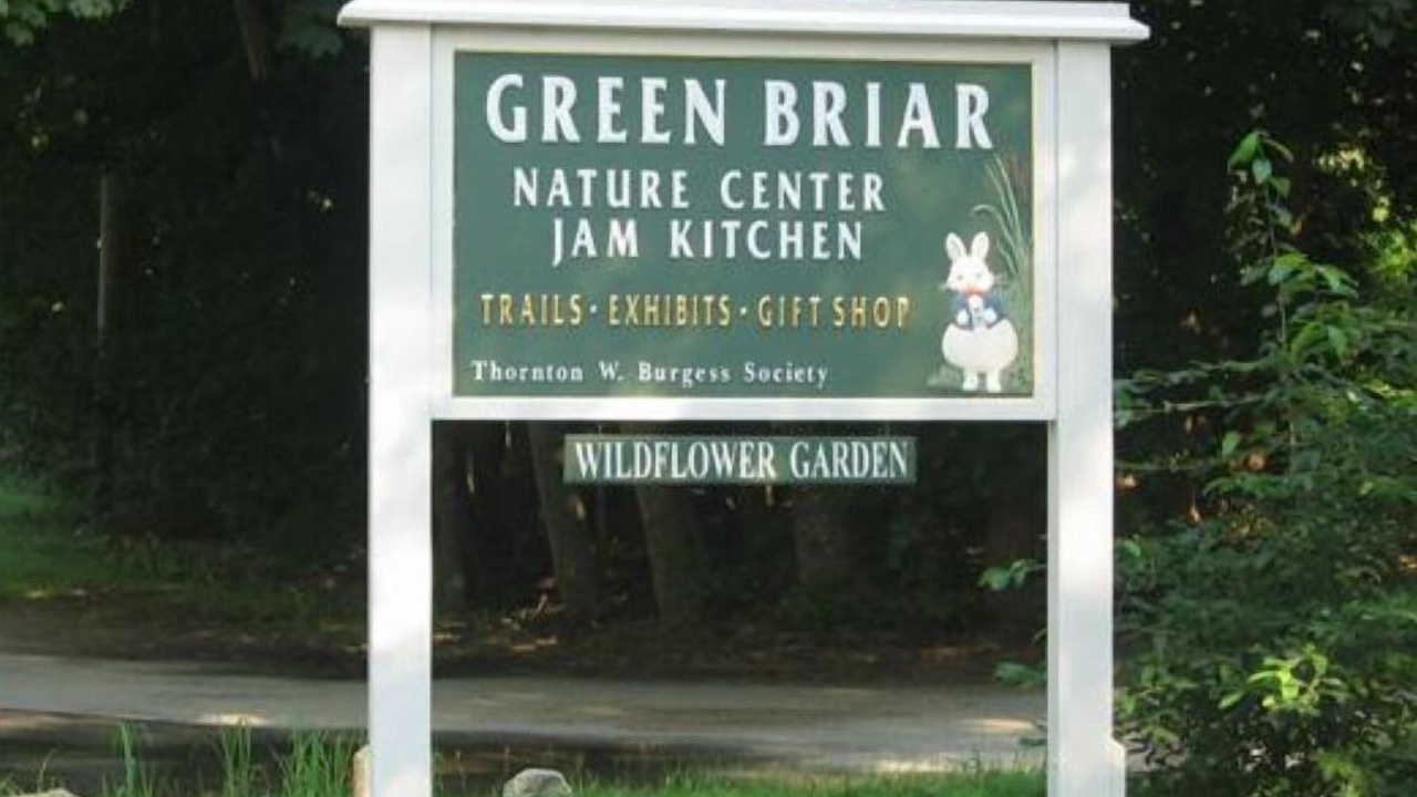 Photo of Outdoor in East Sandwich