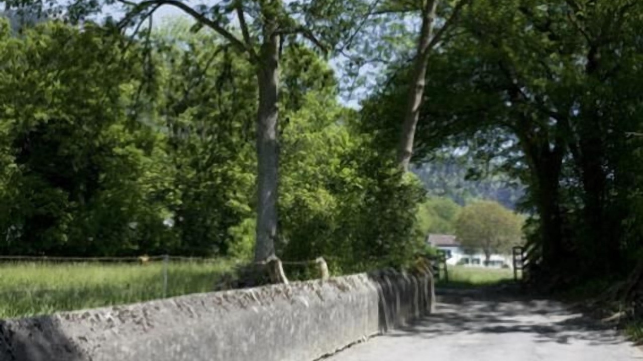 Photo of Others in Maienfeld