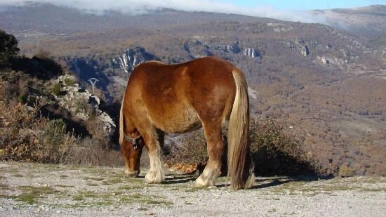 Photo of Outdoor in Goni