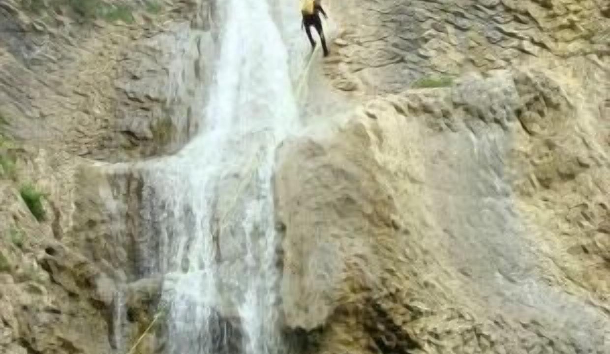 Photo of Others in Goni