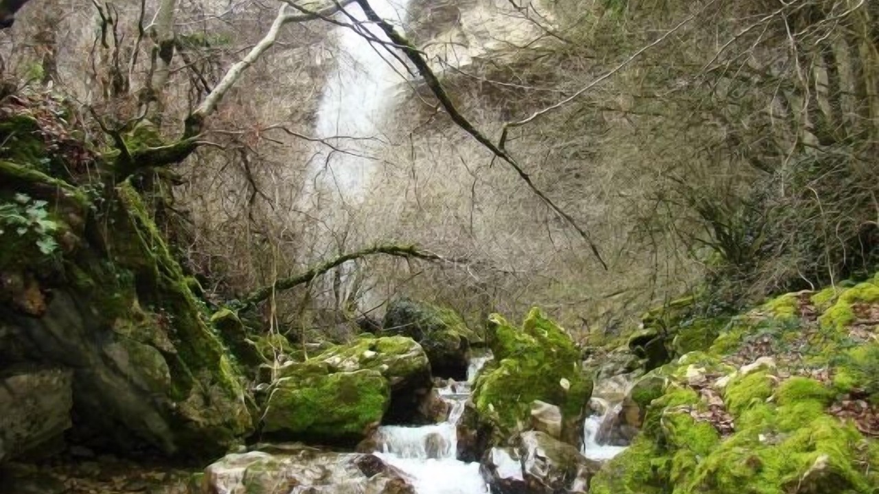 Photo of Outdoor in Goni