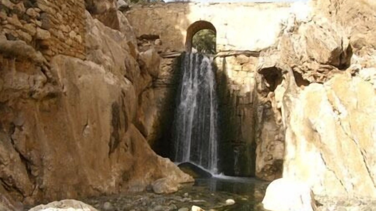 Photo of Others in Goni